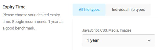 set cache expiry to 1 year